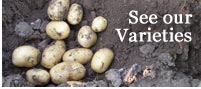 Our Varieties