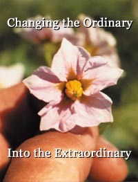 Changing the ordinary into the extraordinary