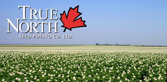True North Seed Potato Company