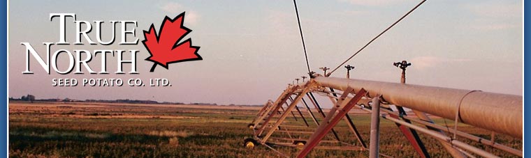 True North Seed Potato Company