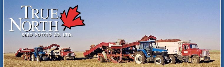 True North Seed Potato Company