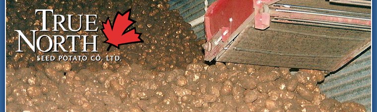 True North Seed Potato Company