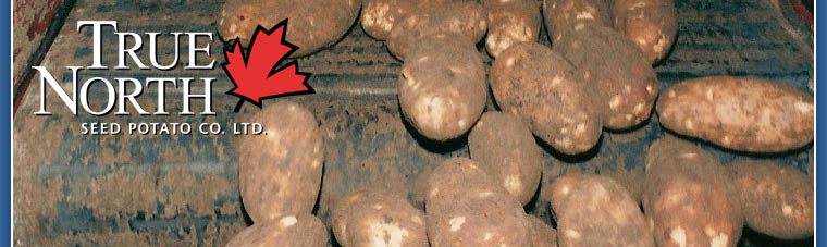 True North Seed Potato Company