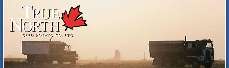 True North Seed Potato Company