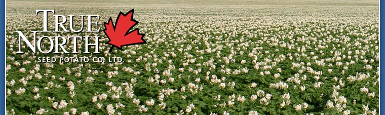 True North Seed Potato Company