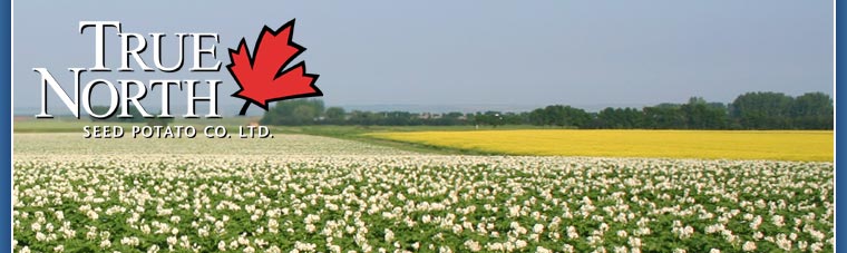 True North Seed Potato Company